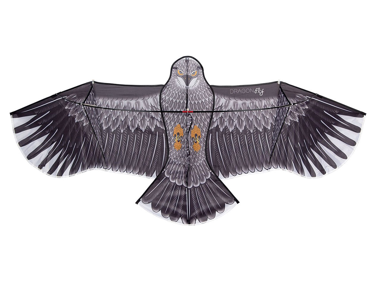 Dragon Fly Eagle cometa